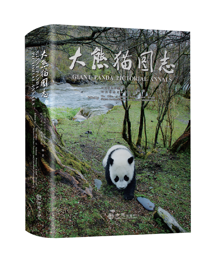 Giant panda